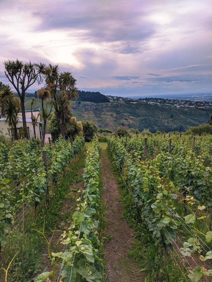 Tussock Hill Vineyard Retreats Hotell Christchurch Eksteriør bilde